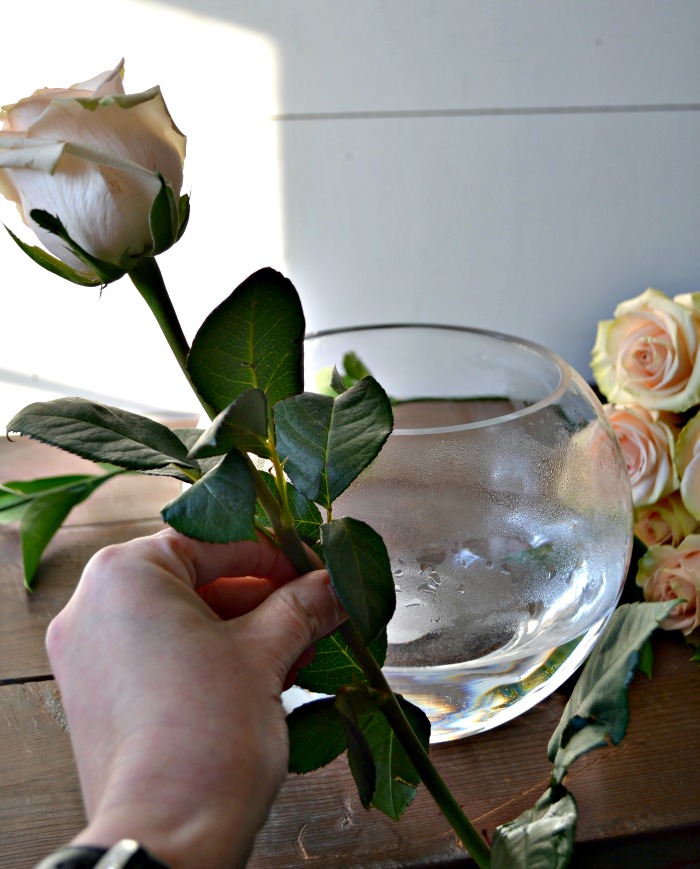 how to arrange roses