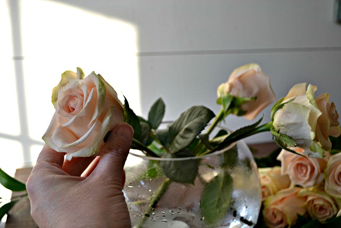 how to arrange roses from the grocery store