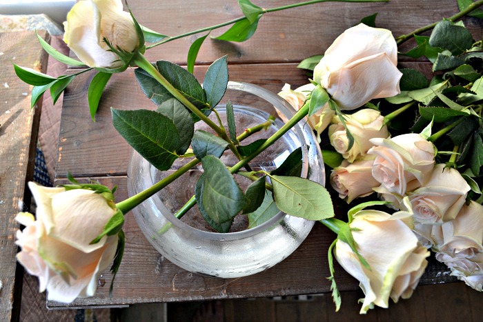 how to arrange roses like a pro