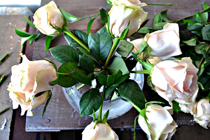 how to arrange roses