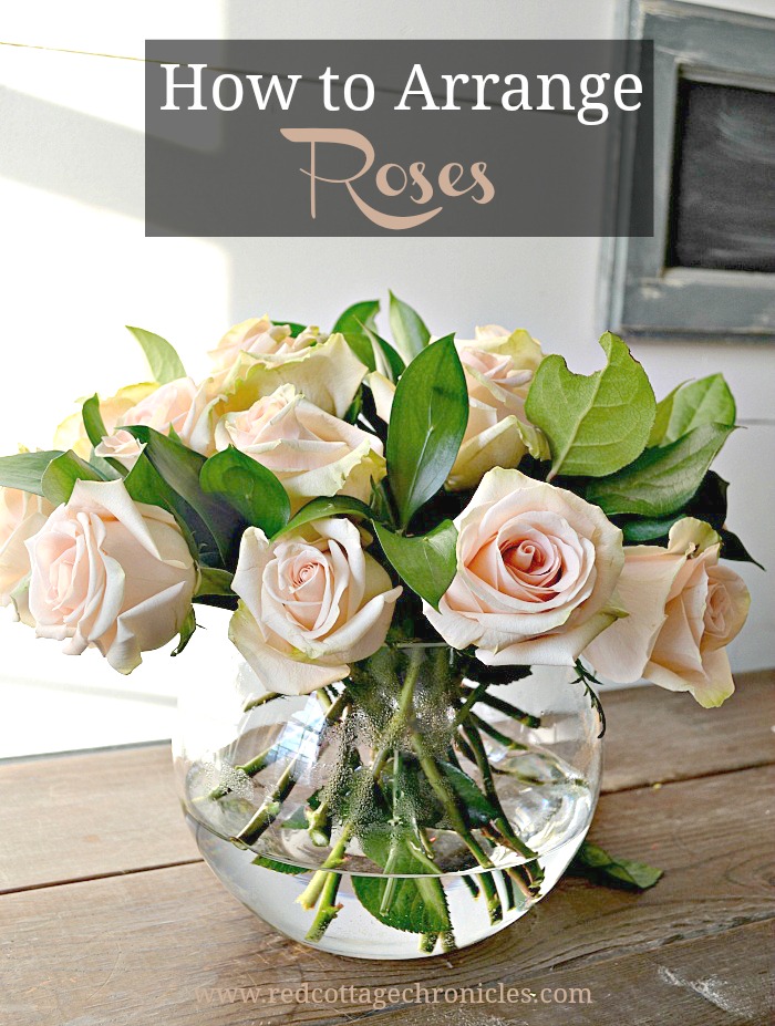 How to arrange roses