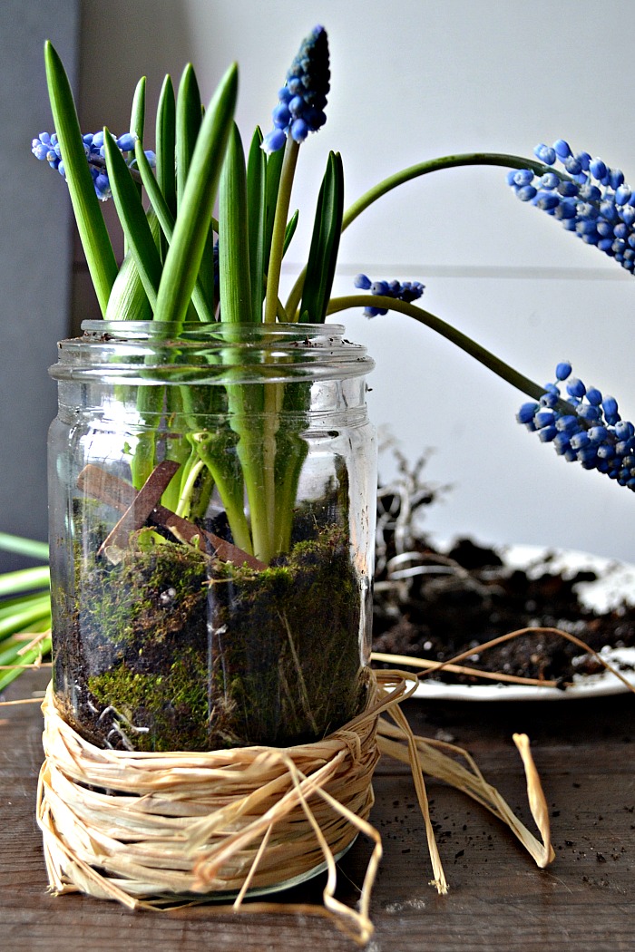 Easter Mason Jar Ideas
