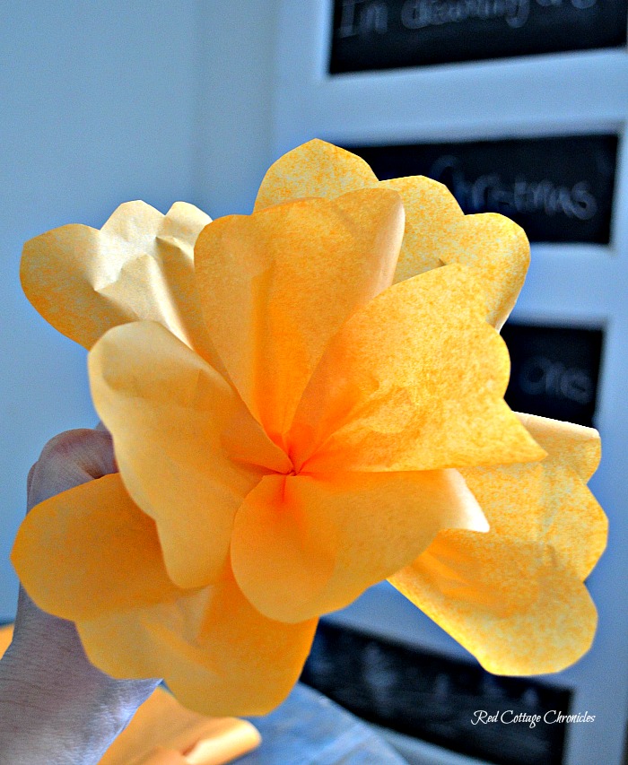 DIY tissue paper flowers