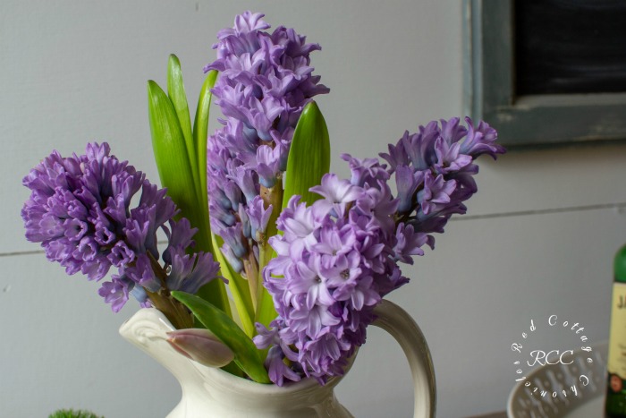 Easy Flower Arrangement ideas for spring