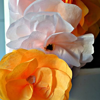 DIY Tissue Paper Flowers