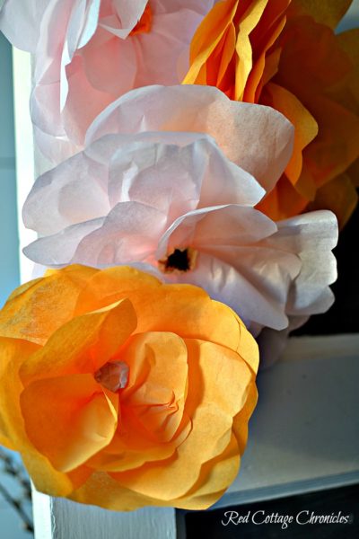 DY tissue paper flowers