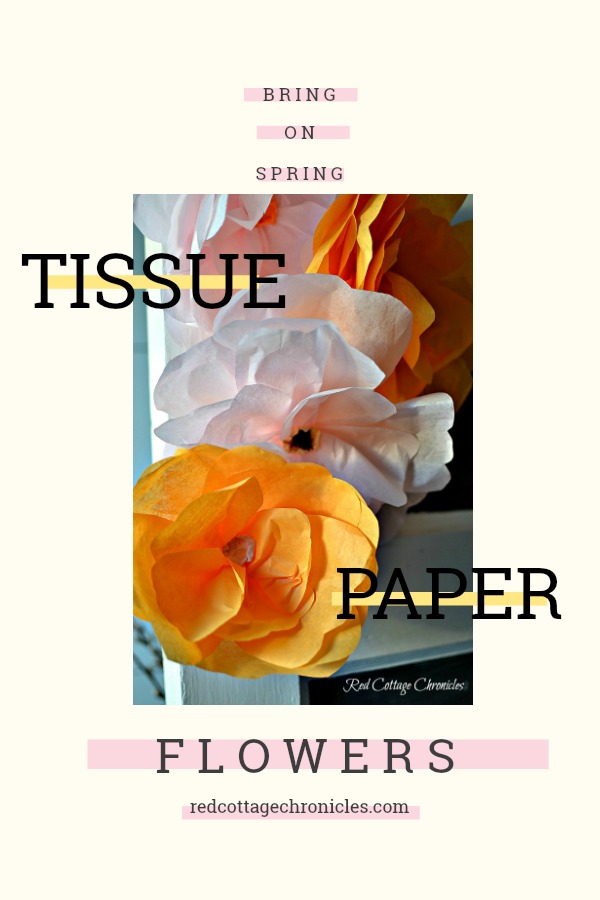 DIY Tissue paper flowers