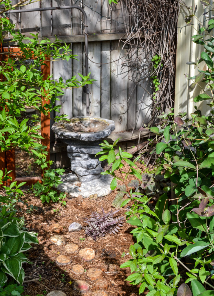 rustic garden