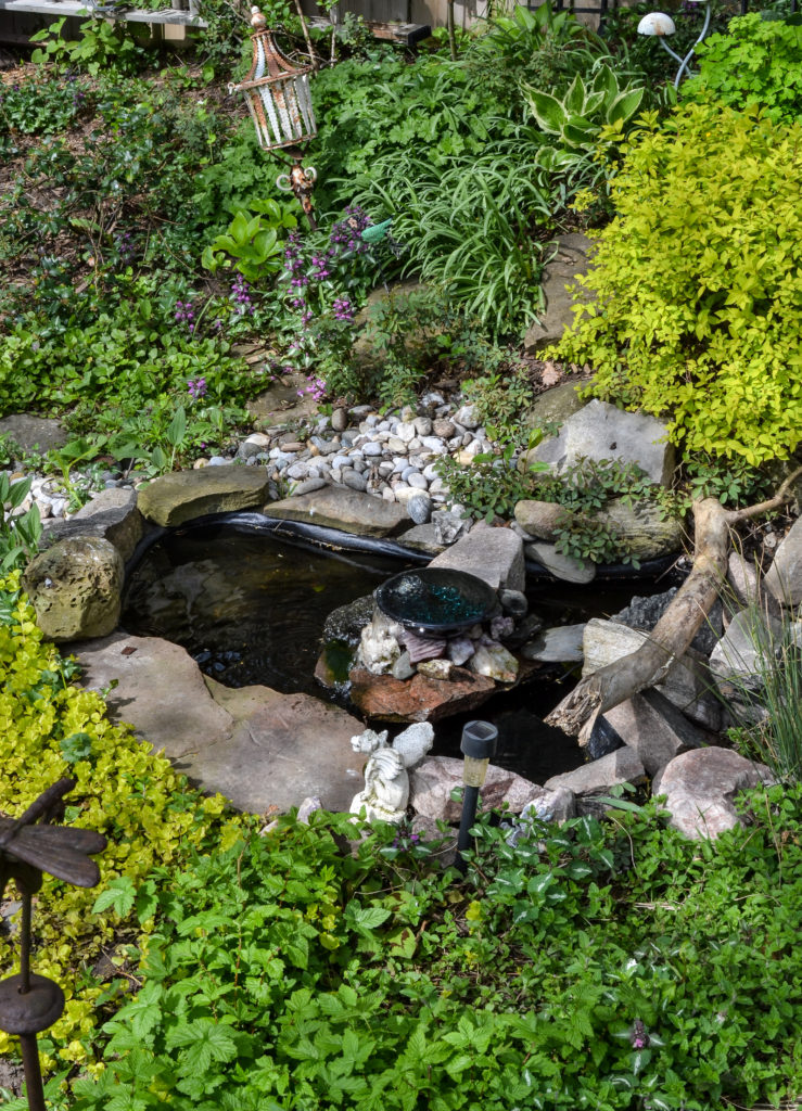 rustic garden ponds