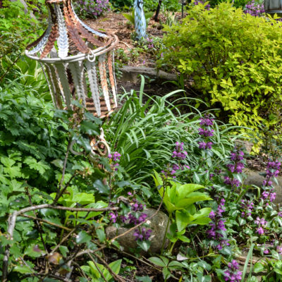 A Cozy Rustic Garden Collected Over Time