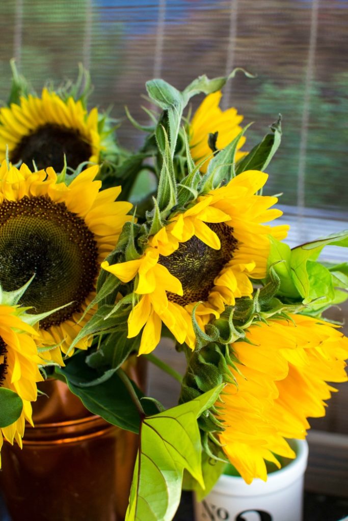 How to make sunflower arrangements 