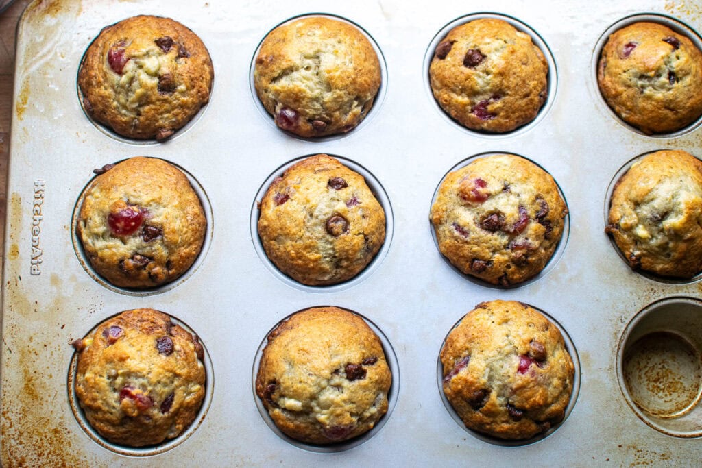 Cherry Chocolate Chip muffins fresh out of the oven still in the muffin pan.
