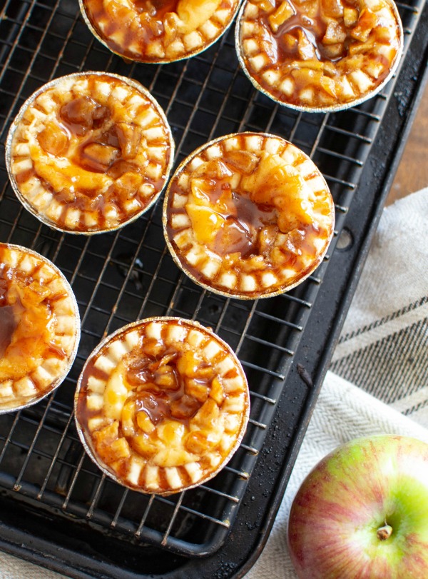 apple cider cheesecake tarts