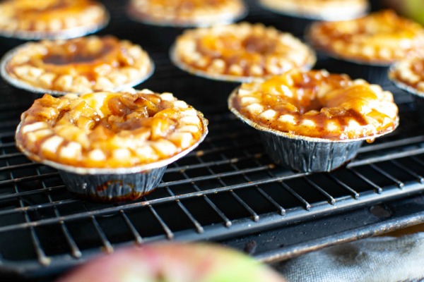 apple cider cheesecake tartlets