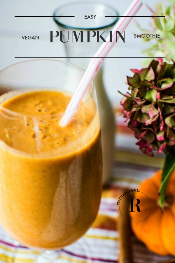 Easy Pumpkin Smoothie