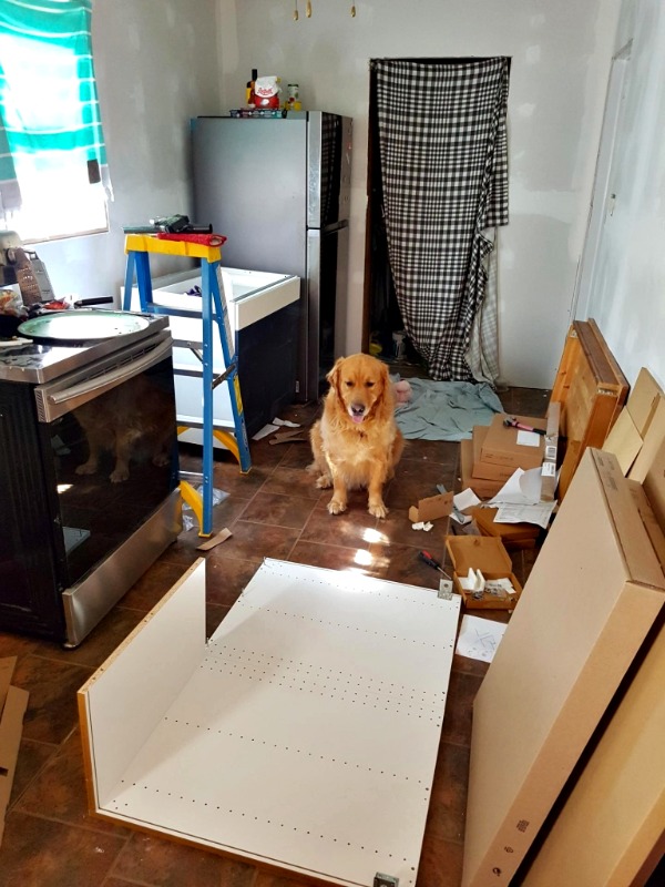 painted Ikea cabinets