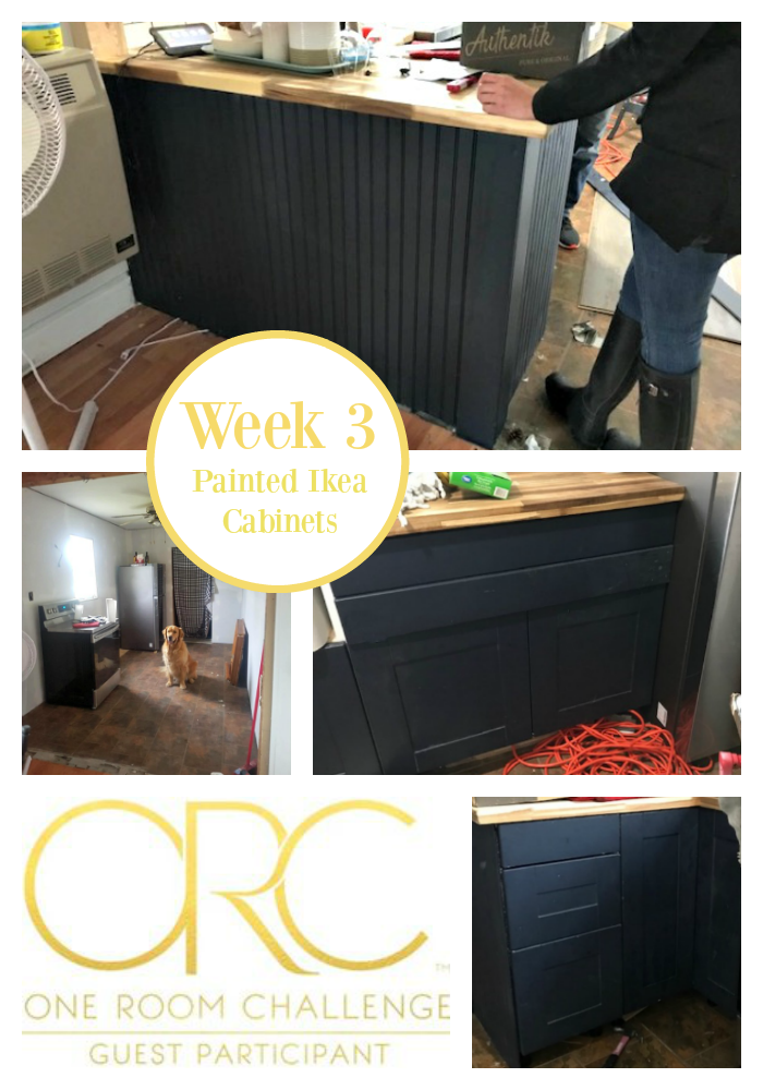 ORC Week 3 – Ikea Cabinets
