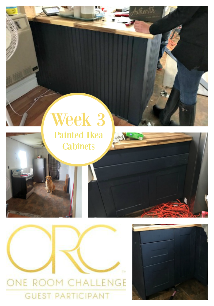 Ikea Cabinets