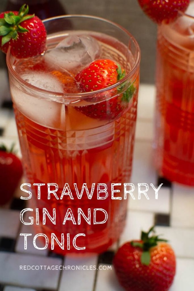 Strawberry Gin and Tonic - Red Cottage Chronicles