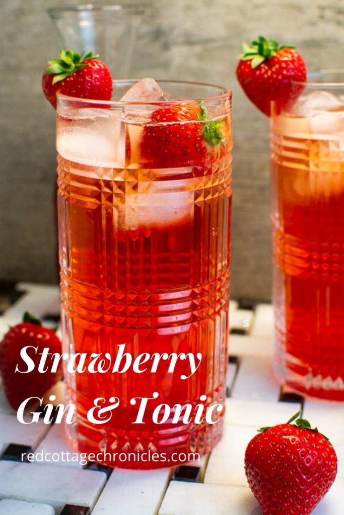 strawberry gin and tonic cocktail recipe