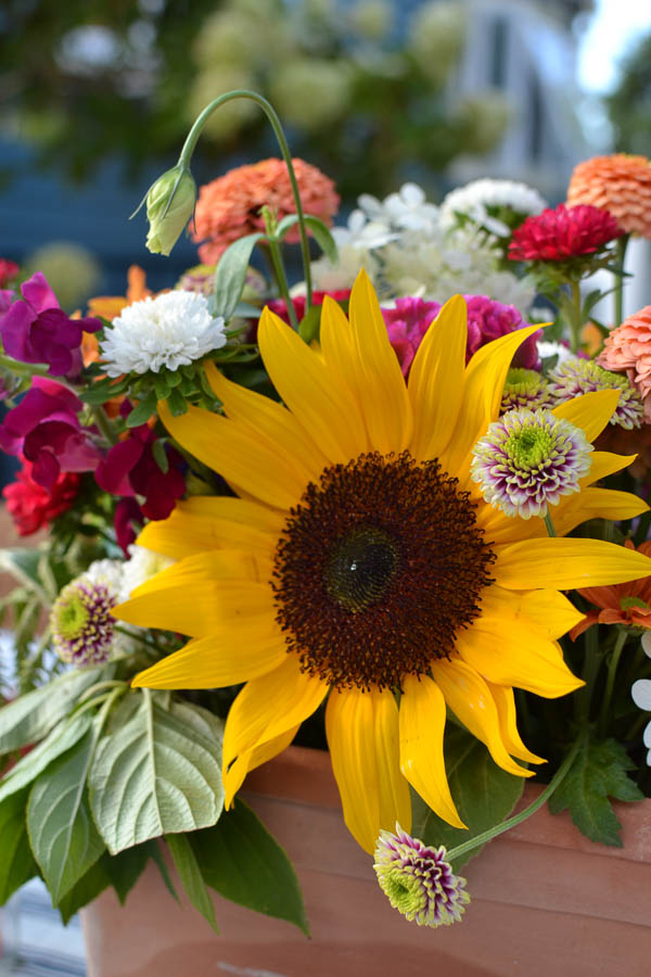 Colourful flower arrangement on a fall dining table