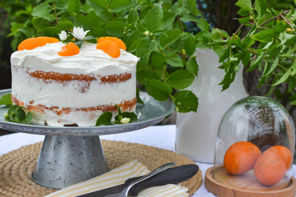 2 layer round orange poke cakee