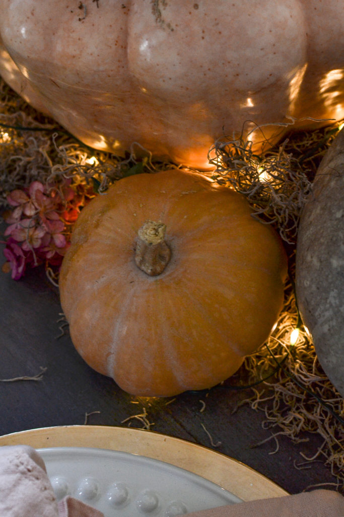 Soft orange pumpkin surrounded by twinkle lights