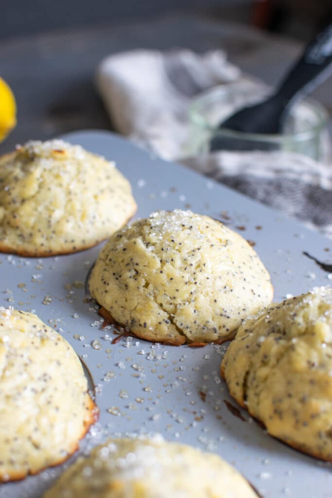 Freshly baked lemon poppy seed muffins in a muffin pan.