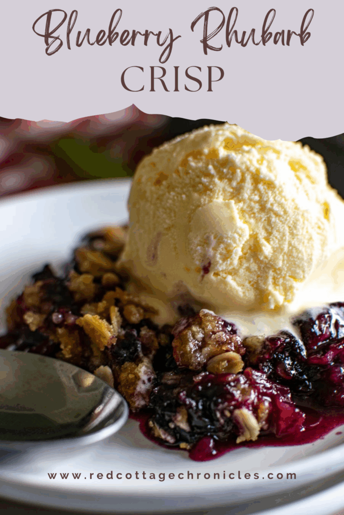 Pinterest Pin with image of Blueberry Rhubarb Crisp topped with ice cream.