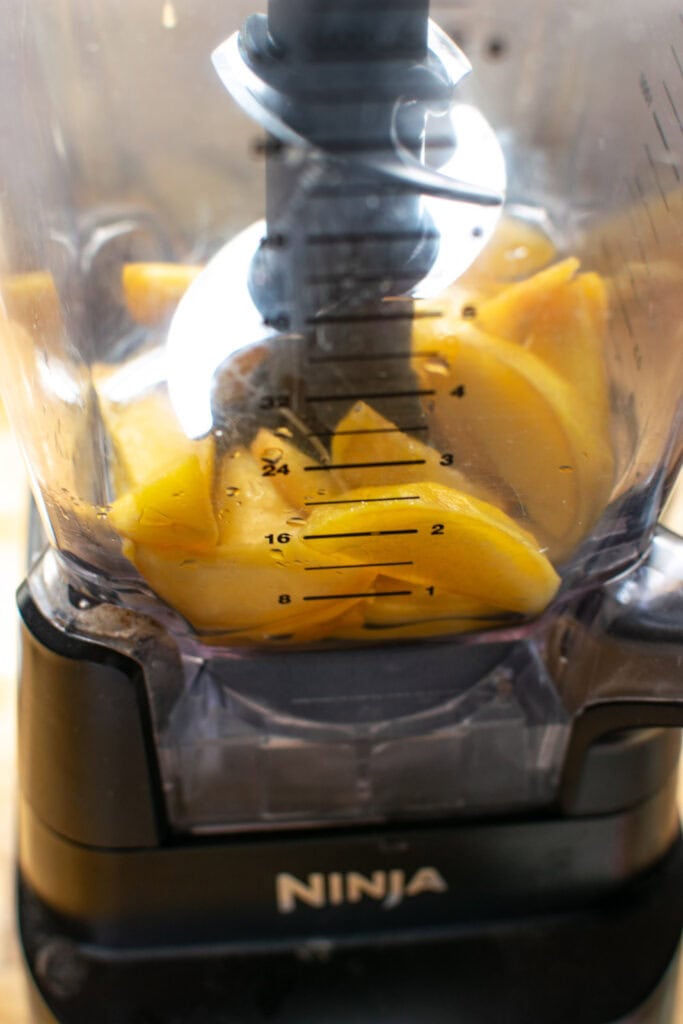 Peach slices in a high speed blender before blending.