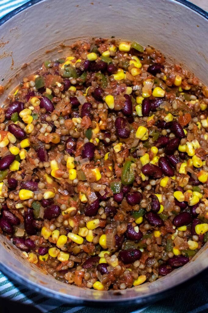 Corn, red kidney beans and canned green lentils added to the tomato mixture for a meatless lentil stew.