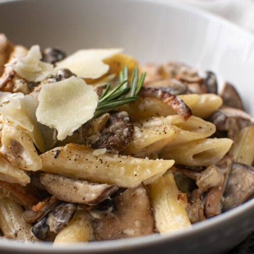 A close up of a bowl of pasta with a mushroom and bacon cream sauce.
