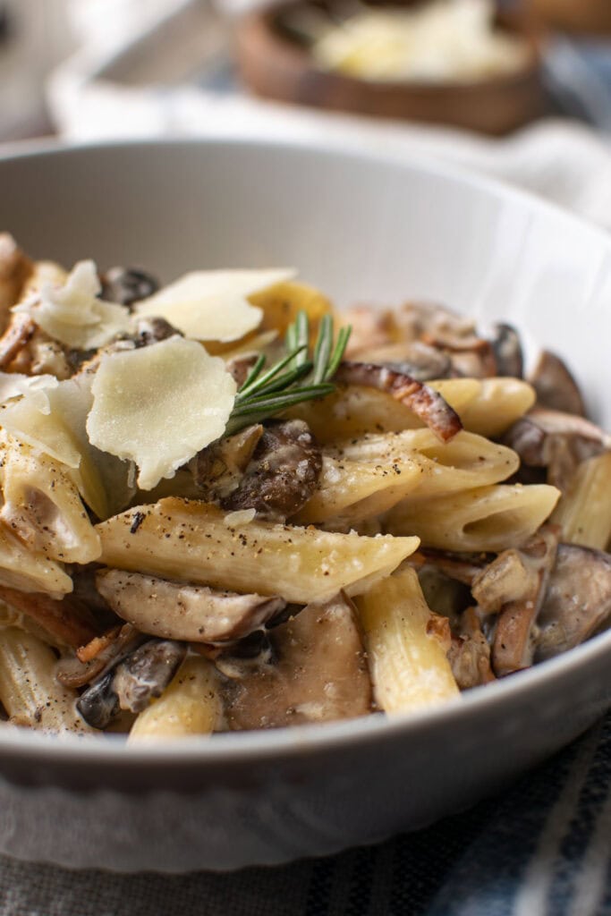 A close up of a bowl of pasta with a mushroom and bacon cream sauce.