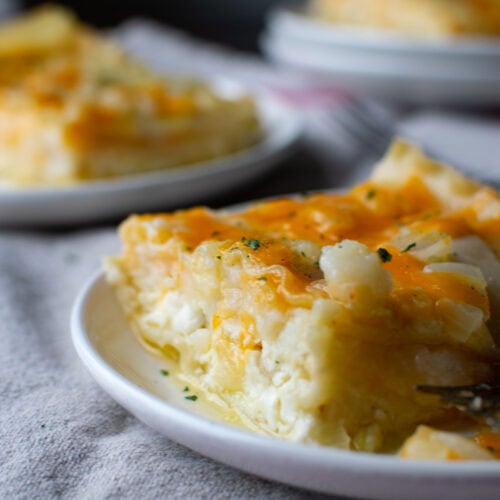 A slice of perogy casserole that features layers of lasagne noodles, cottage cheese, mashed potatoes and cheddar cheese.