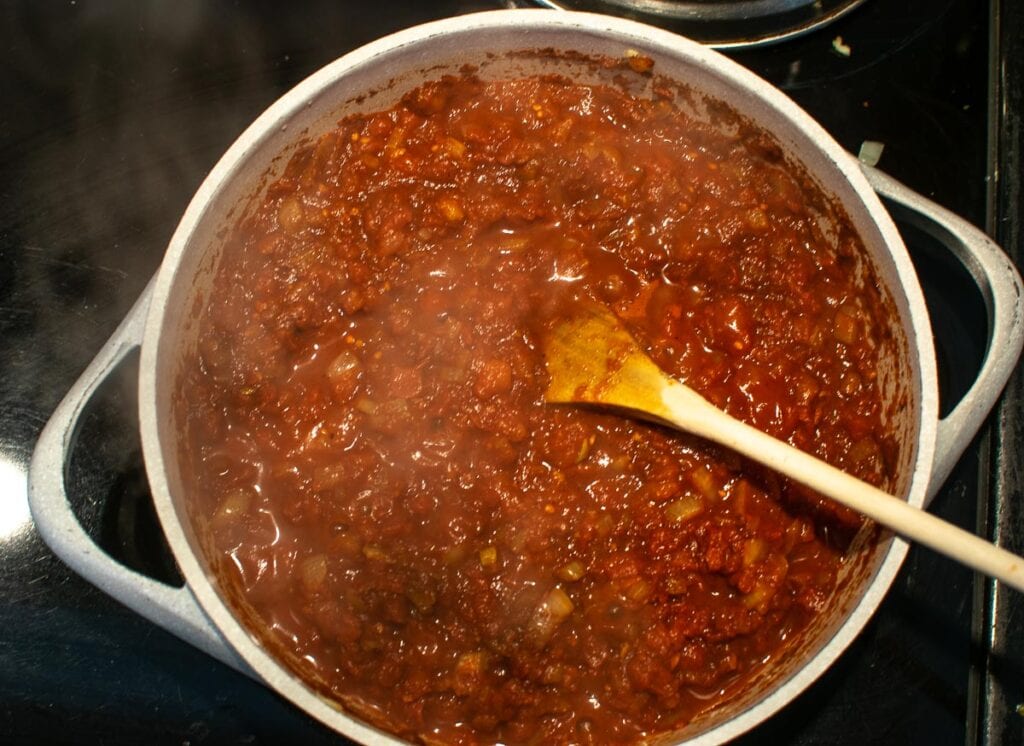 Sauce made with diced tomatoes, chopped onions and spices boiling on the stove top.