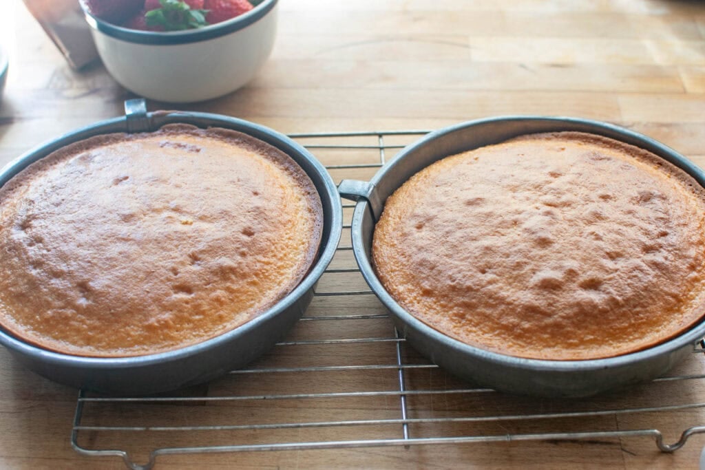 Two 8 inch freshly baked watermelon cake layers still in the pans.